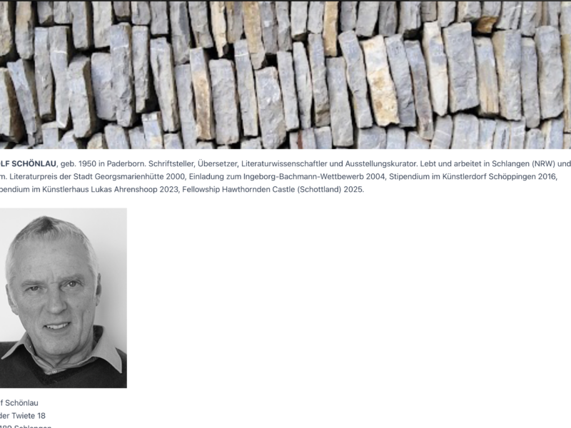 Individuelles Webdesign