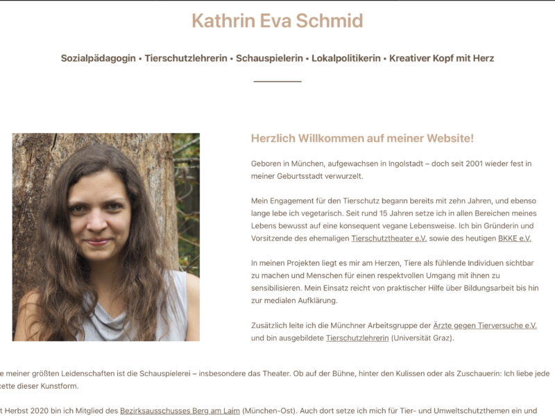 Individuelles Webdesign